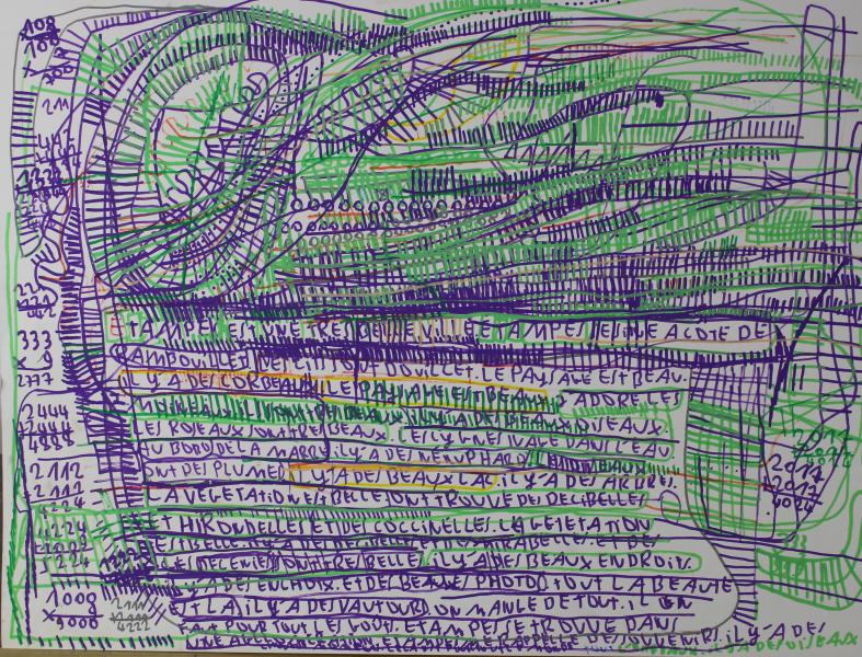 4.Thibaut-Seigneur-2017-marqueurs-acryliques-sur-papier-55-x-73cm.jpg